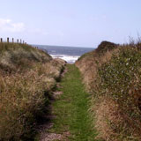 Path to beach